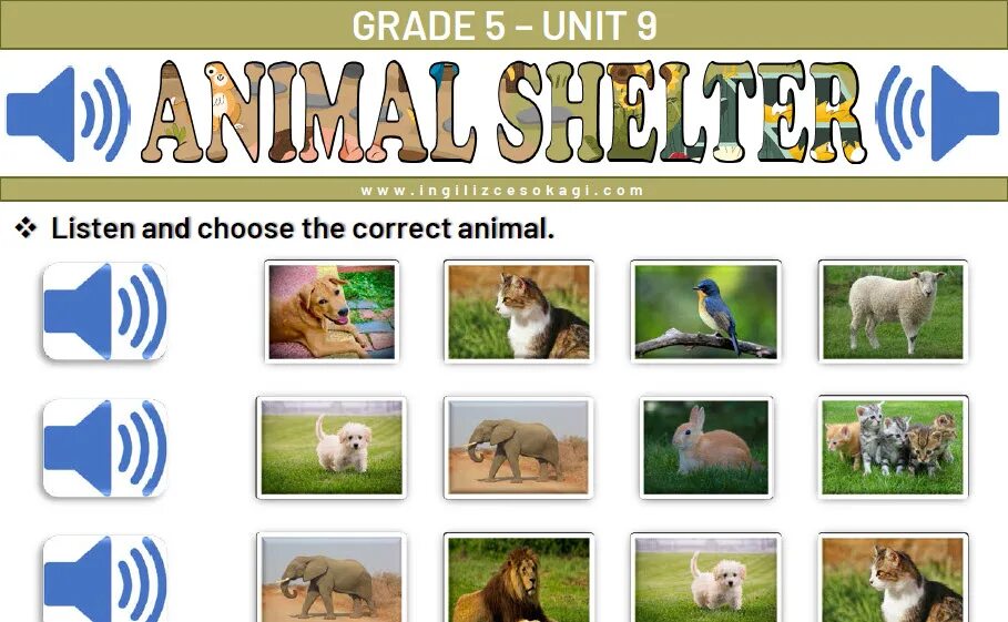 Анимал шелтер. Animal Shelter Vocabulary. Энимал шелтер обложка. Animal Shelter задания. Animal shelter natural choice