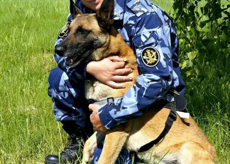Занятия кинолога с собакой