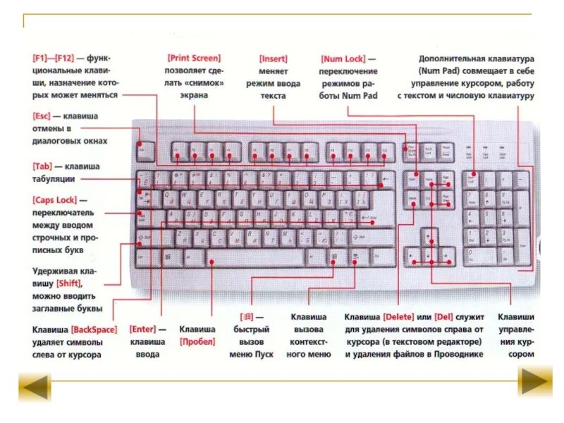 Общие функции клавиш delete и backspace. Назначение кнопок на клавиатуре асус ноутбук. Клавиатура ноутбука леново расположение клавиш. Ноутбук Acer клавиатура Назначение клавиш описание. Клавиатура компьютера леново Назначение клавиш.