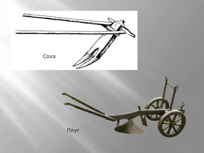 Соха борона плуг в 16 веке. Плуг с железным лемехом у восточных славян. Соха плуг борона. Соха Соха косуля плуг борона. Чем отличаются плуги
