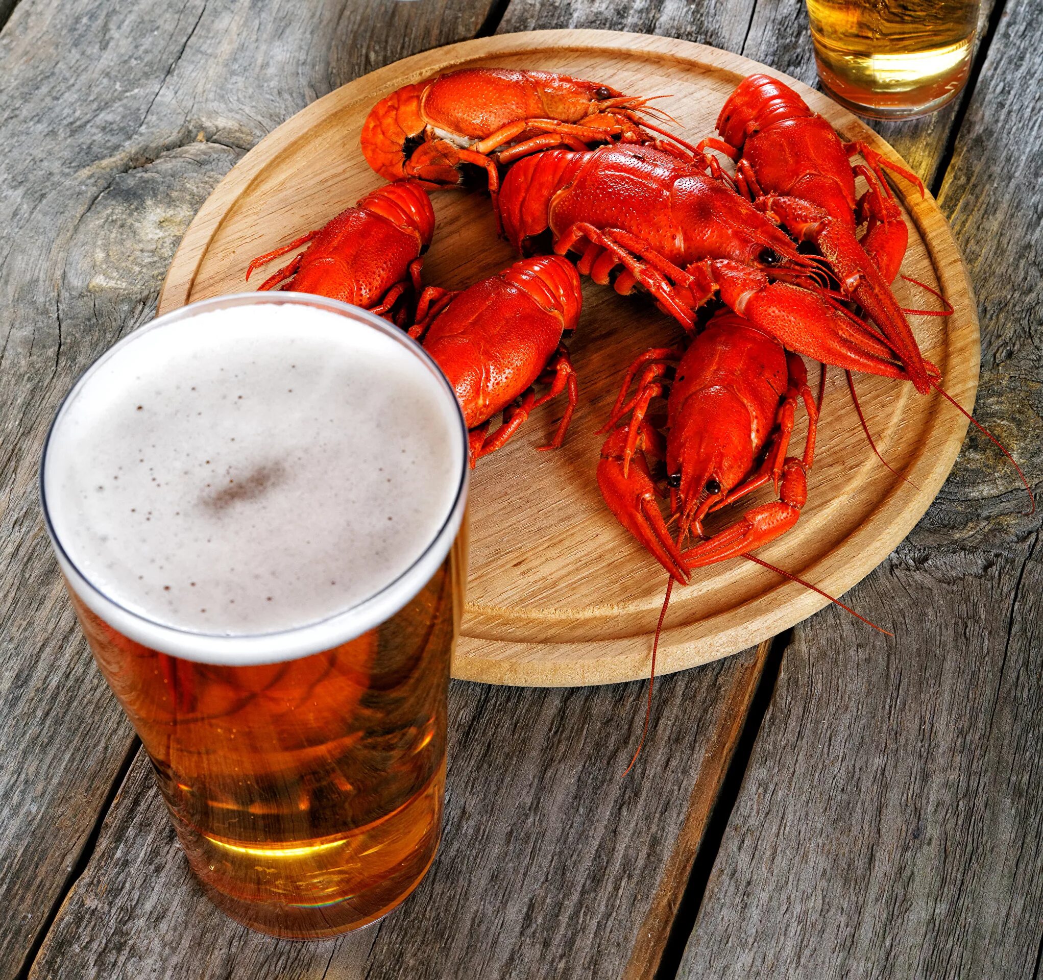 раки с пивом. раки с пивом. раки с пивом. пивной стол. рыбная тематика.