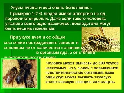 Если укусила оса или пчела что делать