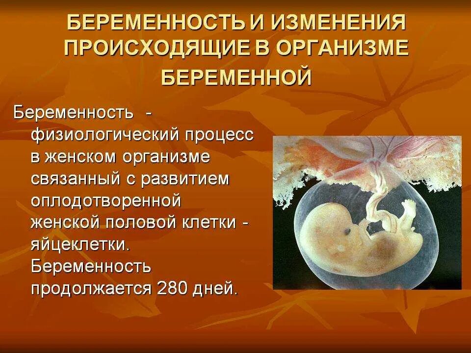 Физиологические изменения беременной