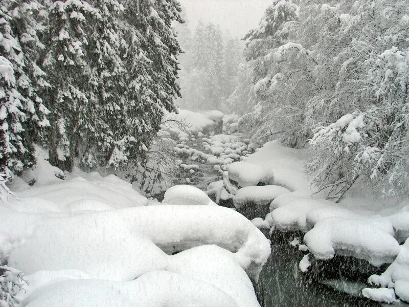 Снег пропускает воздух. Зима много снега. Много снега в лесу. Снегопад картинки. Зима снегопад.