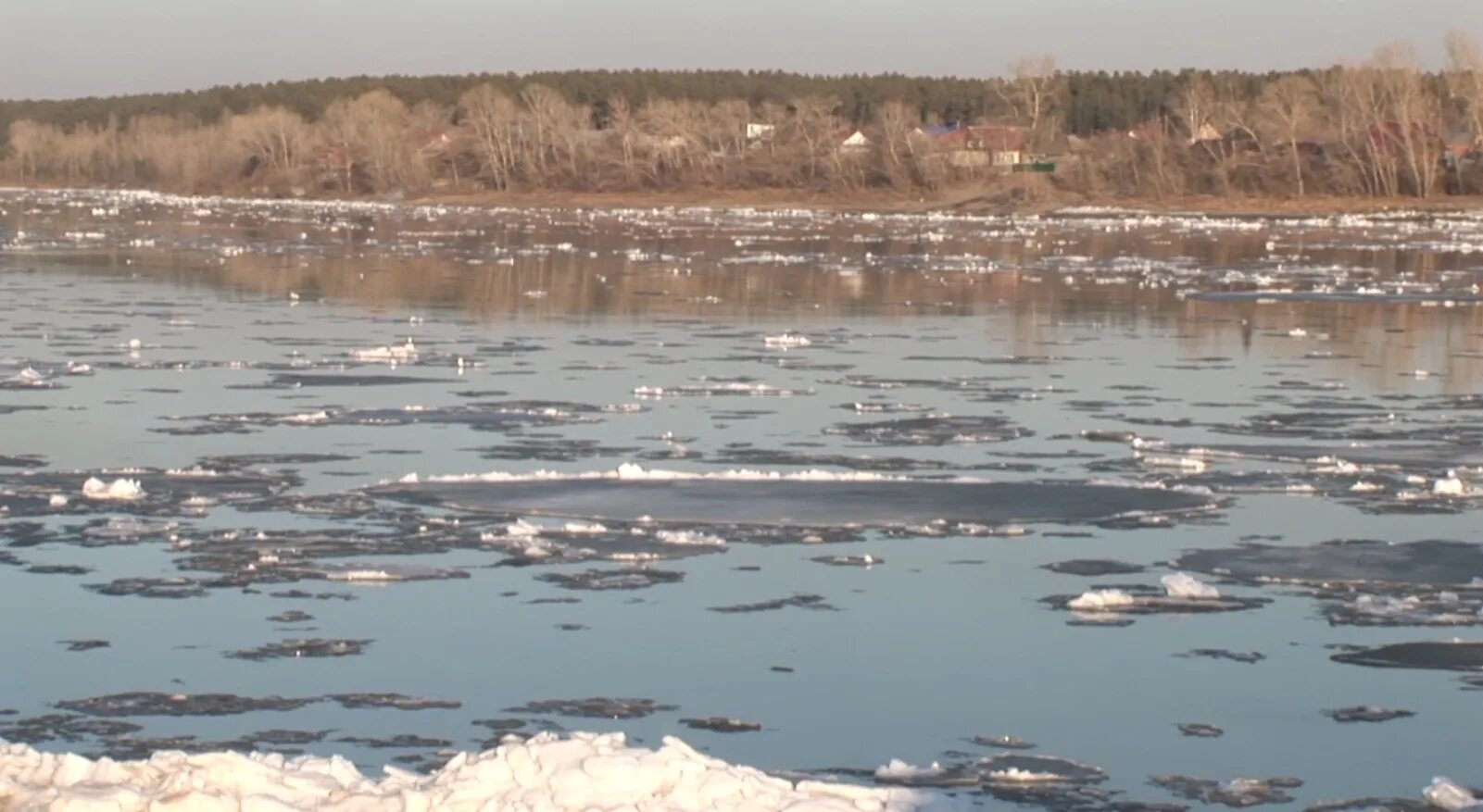 Вода в реке бия. Бийск ледоход на реке Бия. Весенний ледоход на реке. На реке начался ледоход.