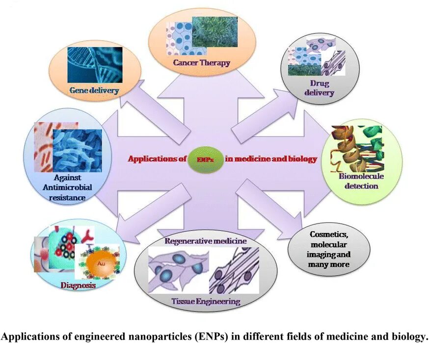 Application potential. Nanoparticles in medicine. application of nanotechnology. nanomaterials applications in medicine. applications of mno nanoparticles.