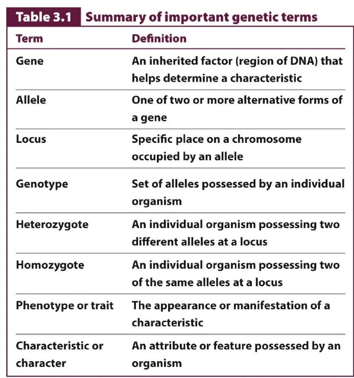 Genetic terms. Term and terminology. Concept of terminology. Main Genetics terms. Basic terms