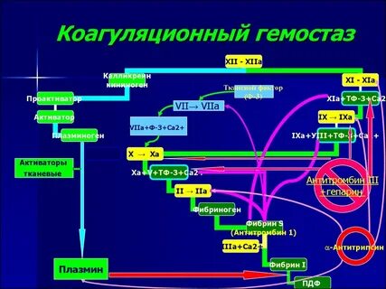Плазменно коагуляционный гемостаз