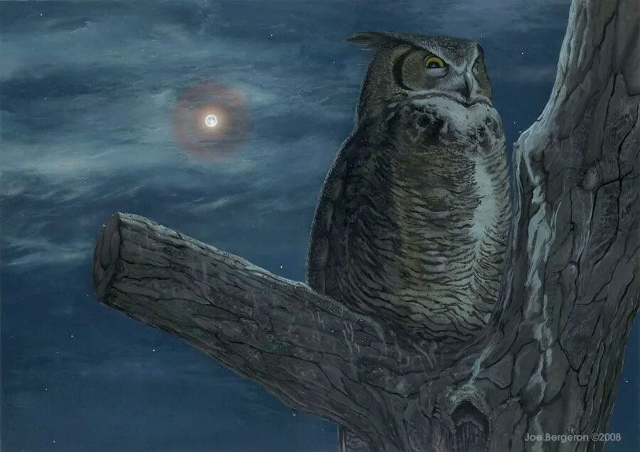 Ночные совы и летнее небо читать. Ночная Сова.(Night Owl).1993. Филин ночью. Сова на фоне Луны. Сова на дереве ночью.