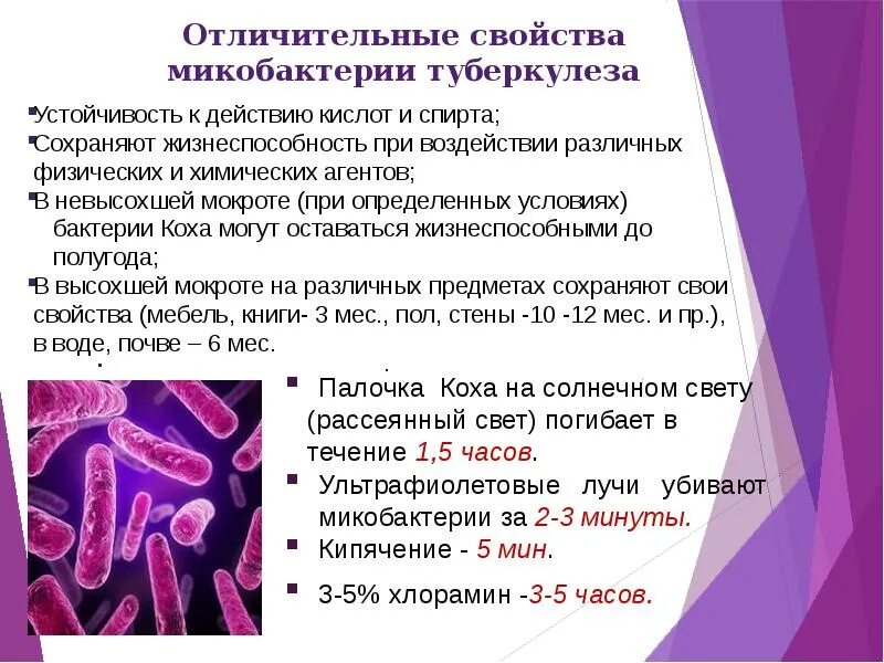 Туберкулез латынь. Почему возбудитель туберкулеза устойчив. Микобактерия туберкулеза характеристика. Свойства микобактерии туберкулеза. Резистентность возбудителя туберкулеза.