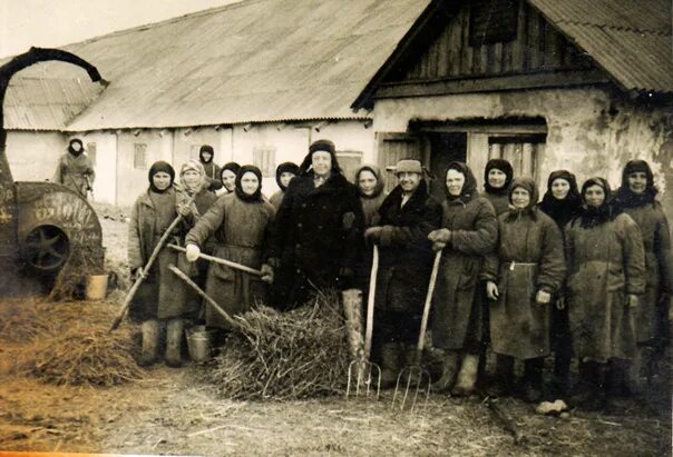 Родина Распутина село Покровское 1912. Раскулаченные крестьяне Курская. Раскулаченные крестьяне Курская область. Колхозы в Сибири.