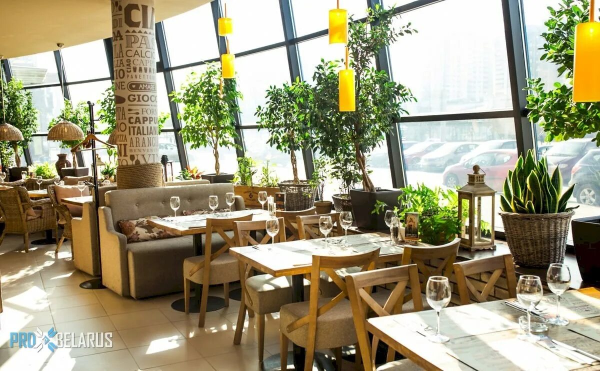 5learn patio minsk by