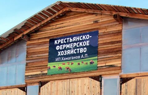 Погода в обусе