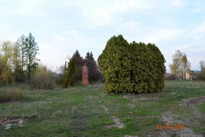 Астраханская опытная станция. Россошанская опытная станция. Плодовая станция. Россошанская опытная станция. Опытно плодово ягодной станции.
