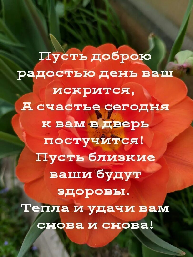 Пусть каждый новый день. ПКСИТ день пририсит только радостт. Пусть день принесет только радость и счастье. Пусть этот день.