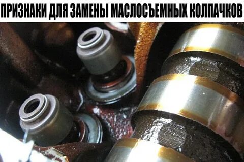 Как определить маслосъемные колпачки
