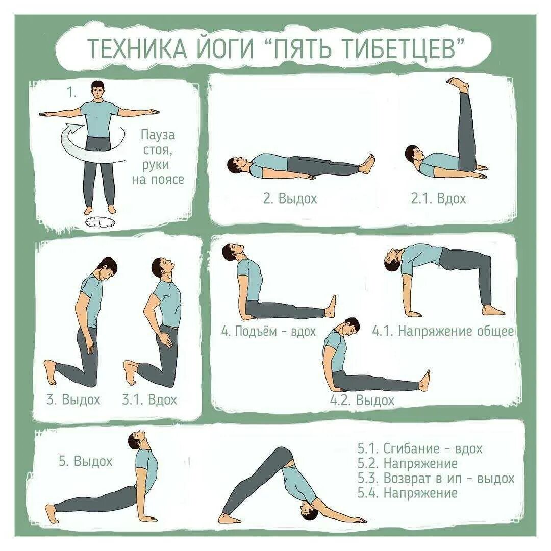 Зарядка 5 жемчужин тибета. Зарядка пять жемчужин тибета упражнения. Тибетские жемчужины упражнения видео. Око возрождения 5 тибетских упражнений. Тибетская жемчужина гимнастика 5 упражнений.