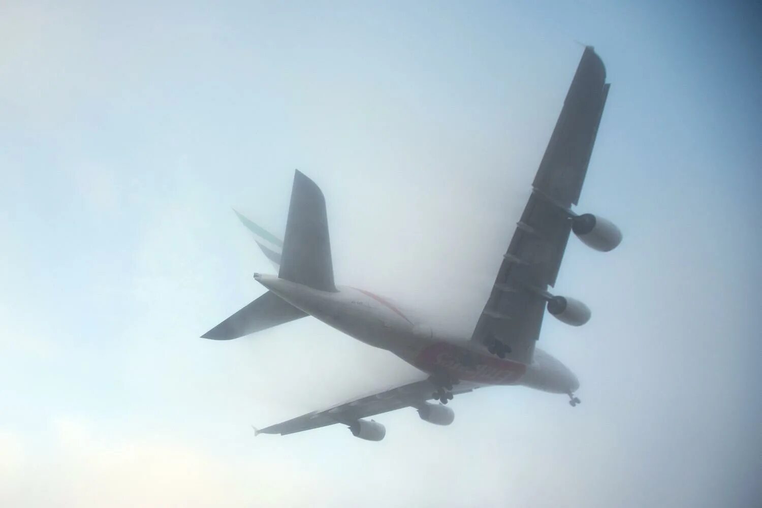 The flight because of fog. Туман в аэропорту. airplane in the fog.