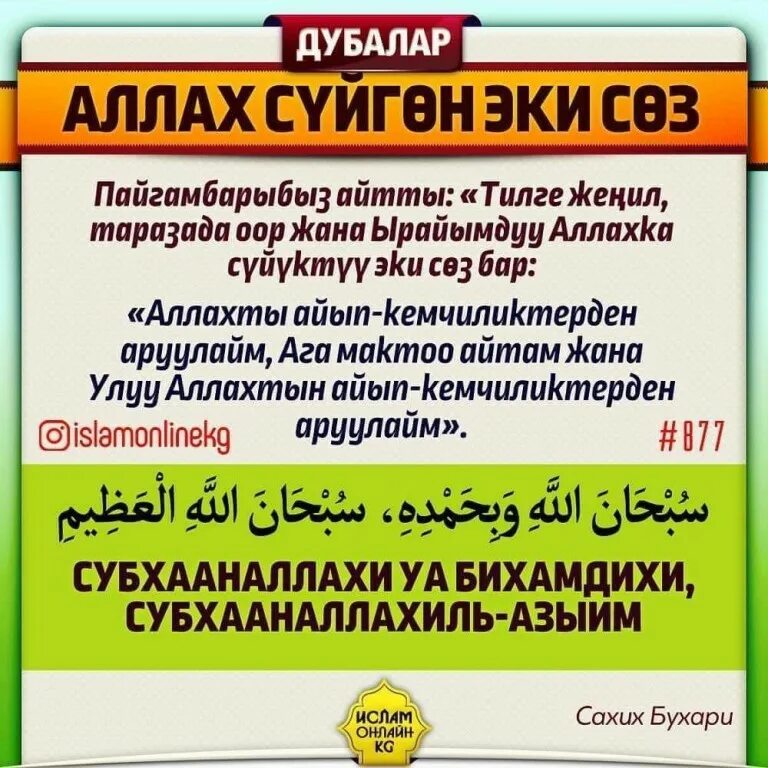Дуба суроолор. Зикр тасбих. Суроолор. Дубалар. Кмдб.