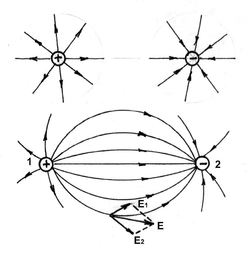 Изобразить линии напряженности и зарядов. Линии напряженности электростатического поля. Физика линии напряженности электрического поля. Линии напряженности электрического поля рисунок. Линии напряженности точечного заряда.