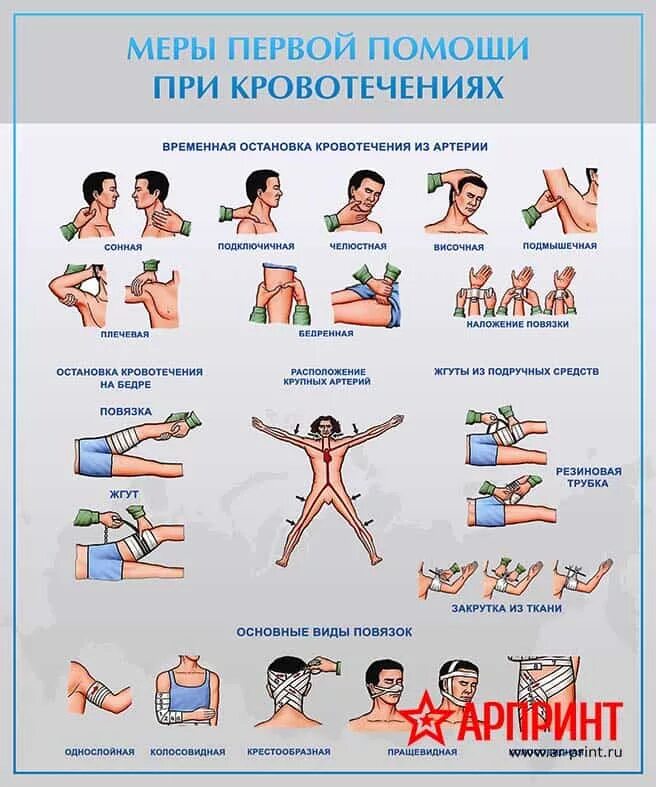 Перечислите меры 1 помощи