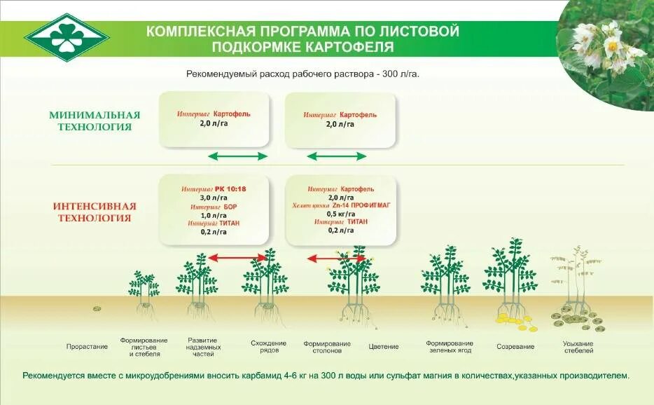 Картофельных полей связь управление. Схема внесения Минеральных удобрений под картофель. Нормы внесения удобрений для картофеля. Таблица внесения удобрений для картофеля. Программа подкормки картофеля.