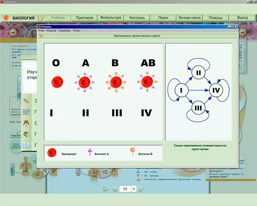 Электронное учебное пособие по биологии. Электронные пособия по биологии. Биология электронное приложение. Электронное приложение к учебнику биология. Электронное приложение к учебнику информатика 5 класс