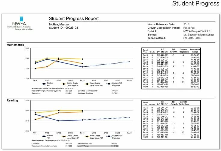 Student progress. Research progress Report. Examples for progress Report. Student progress Report personal\. Progress reporting