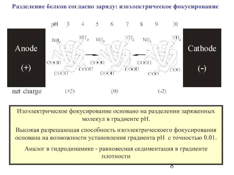 Методы разделения белков сыворотки крови. Задачи на разделение белков. Методы разделения смеси белков. Методы разделения белков по заряду. Методы фракционирования белков.