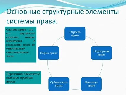 Элементы системы законодательства