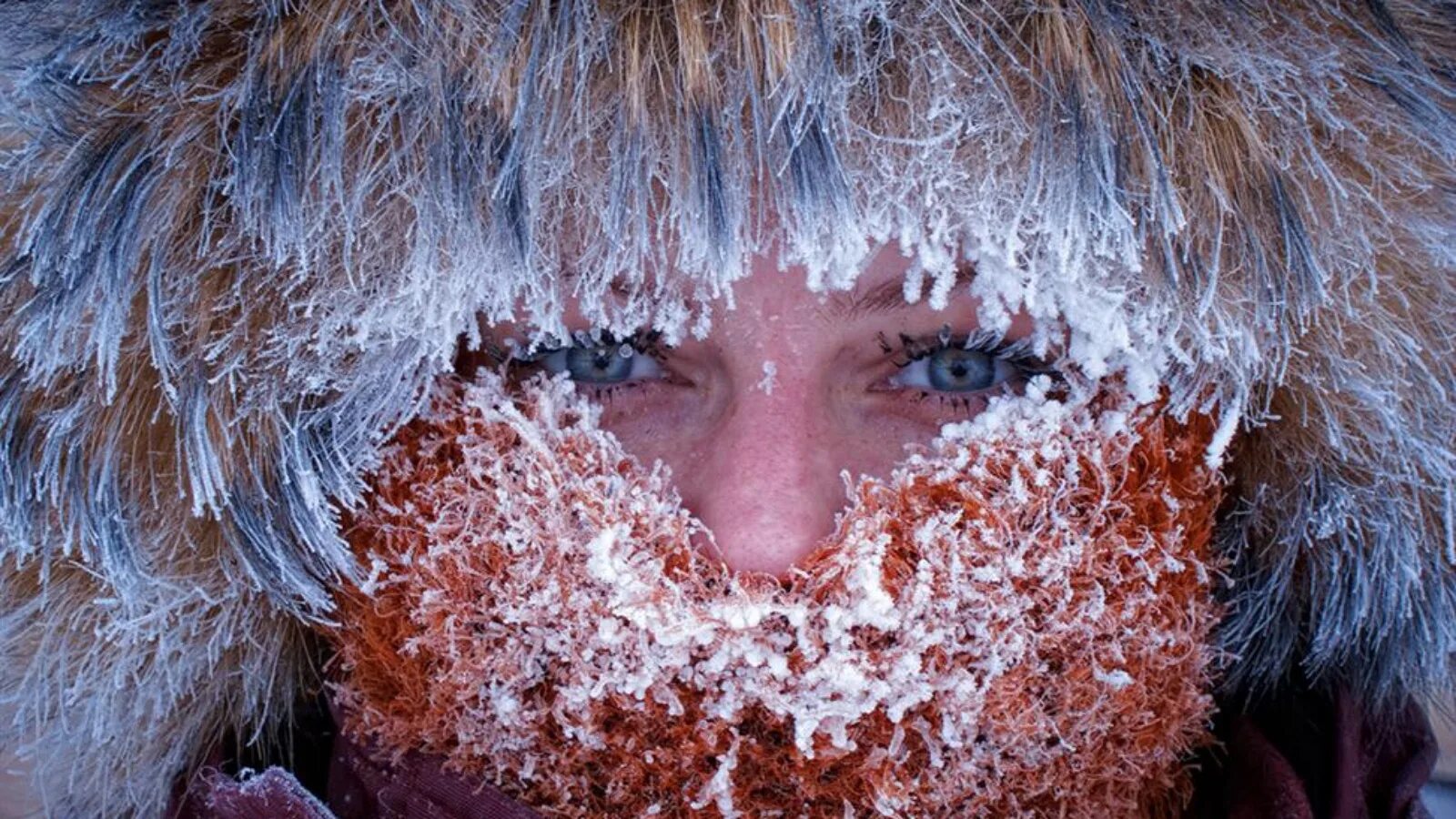 Сильный Мороз. Иней на лице. Сильный Моро. Человек в инее. Почему в холодную погоду многие животные