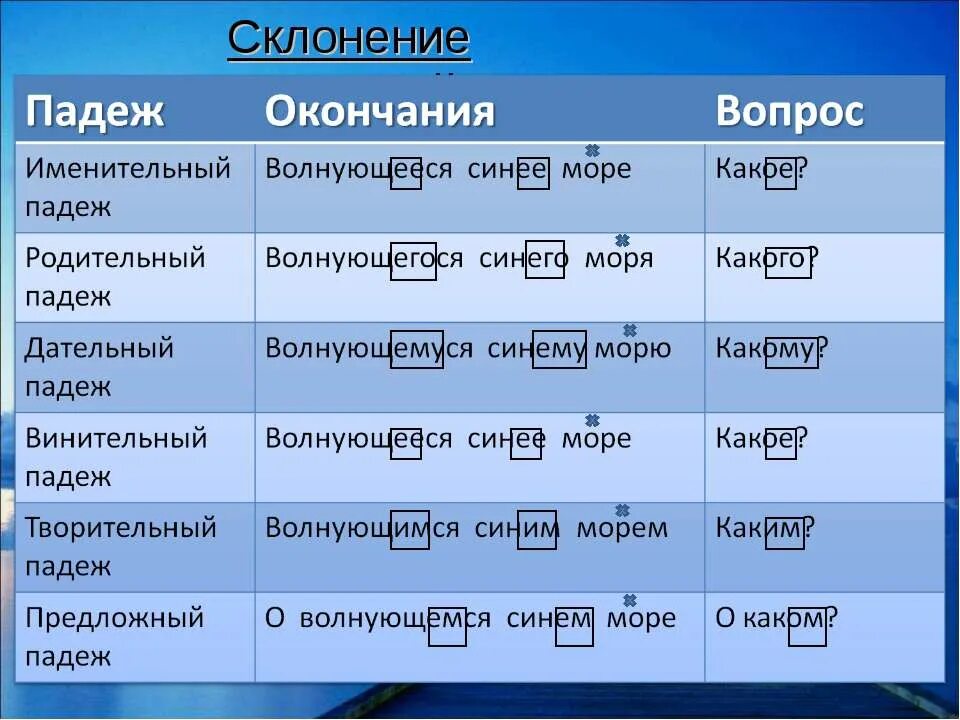 Рысь по падежам. Склонение причастий в падежных окончаниях. Склонение причастий падежные окончания причастий. Причастие склоняется по падежам. Склонение причастий по падежам таблица.