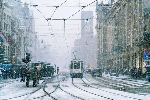 Увидел зим