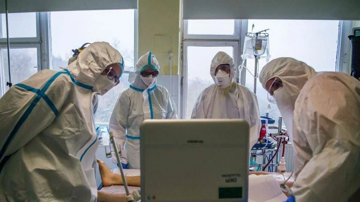 Последние новости о вирусах. Последние новости о вирусах. Последние новости о вирусах. Мисанец новости ульяновска сегодня. Последние новости о вирусах.