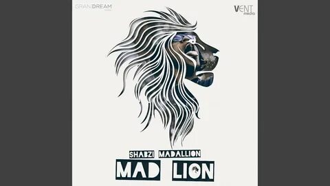 Mad lions