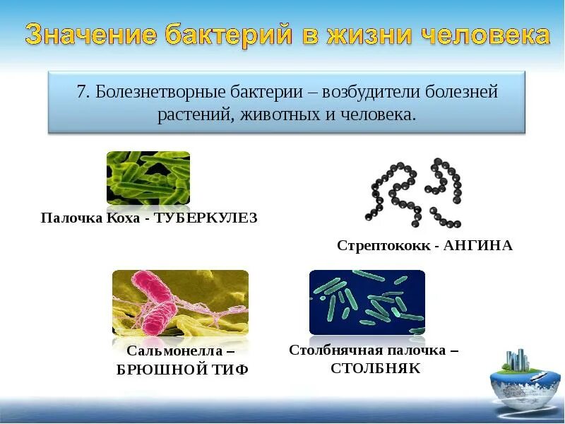 Человек прокариот