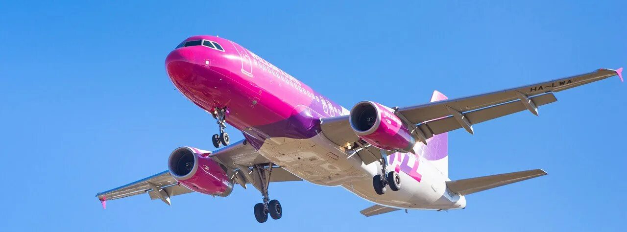 Wizz air malta купить