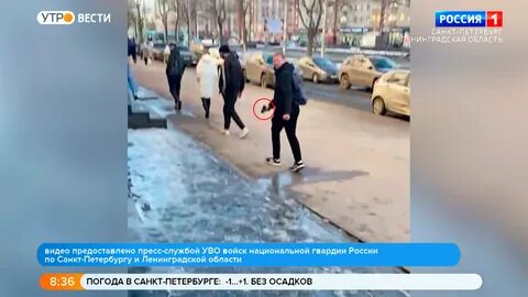 Утро вести петербург