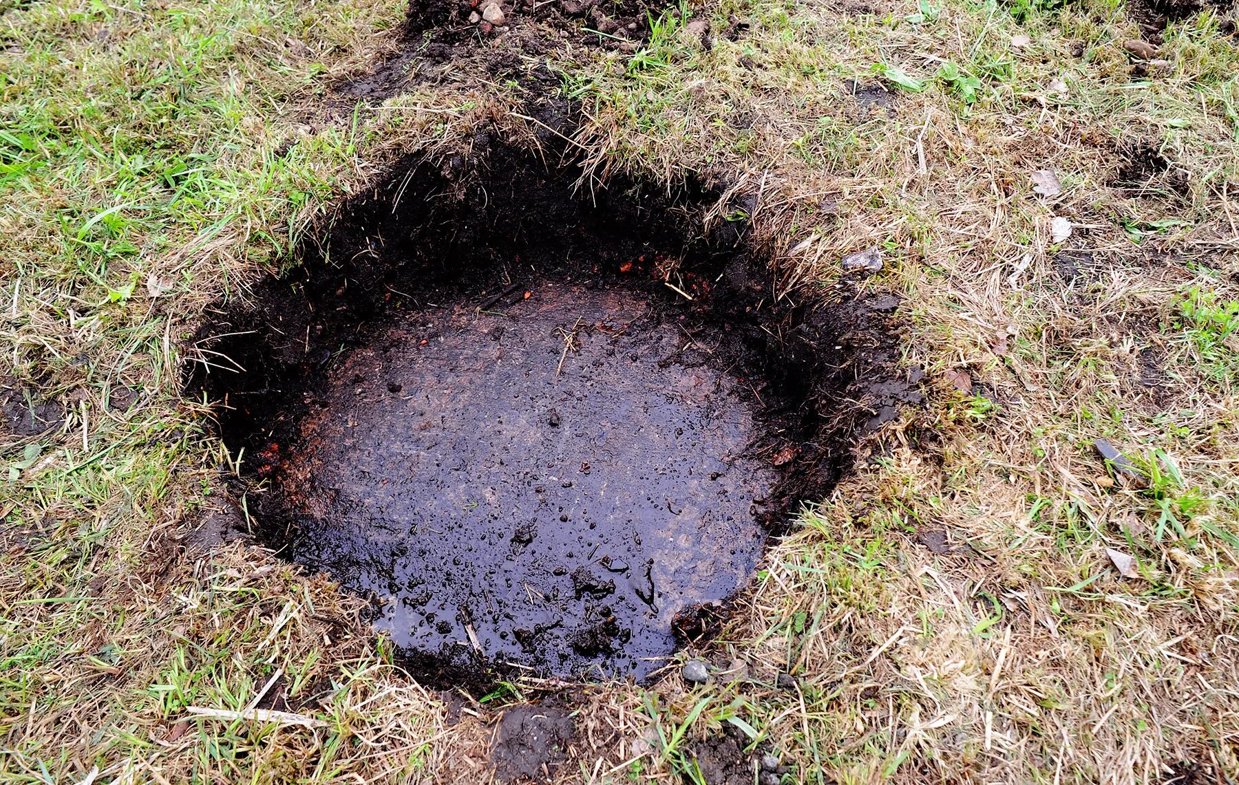 Яма залитая водой. Посадочная яма для дерева. Лунка в земле. Выкапывание ямки в земле. Ямка для посадки.