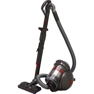 Dyson animal