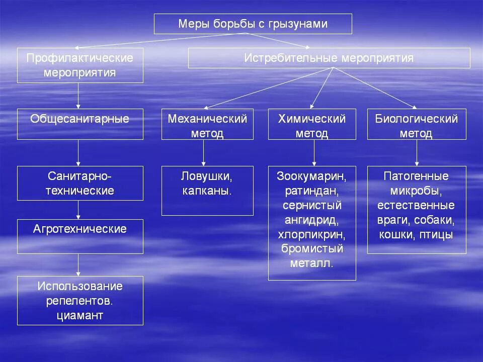 Средства борьбы. Санитарно-технические меры борьбы с грызунами. Методы борьбы с грызунами на предприятии. Профилактические методы борьбы с грызунами. План борьбы с грызунами.