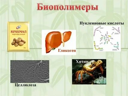 Примеры нерегулярных биополимеров