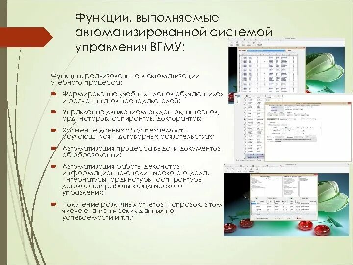 Автоматизация учебного процесса. Функции выполняемые средства автоматизации. Какие функции выполняет Интерфейс в автоматизации. Тандем.университет – комплексная автоматизация....