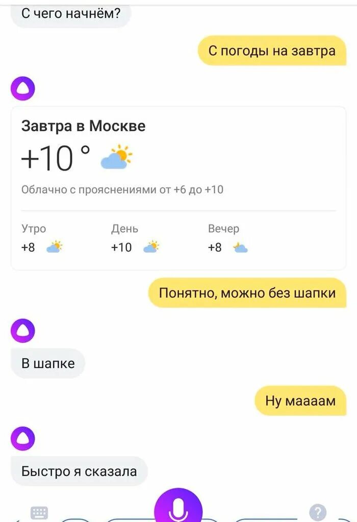 Алиса можно смешные