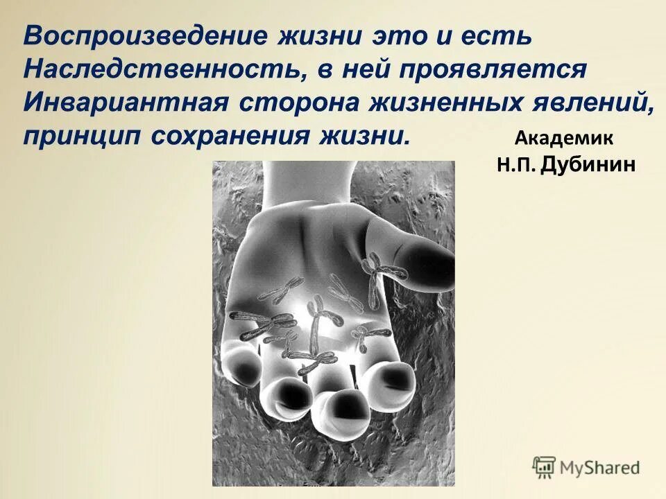 воспроизведение жизни