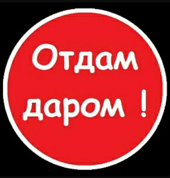 Объявления приму даром. Отдам даром. Отдам даром надпись. Группа отдам даром. Даром картинка.