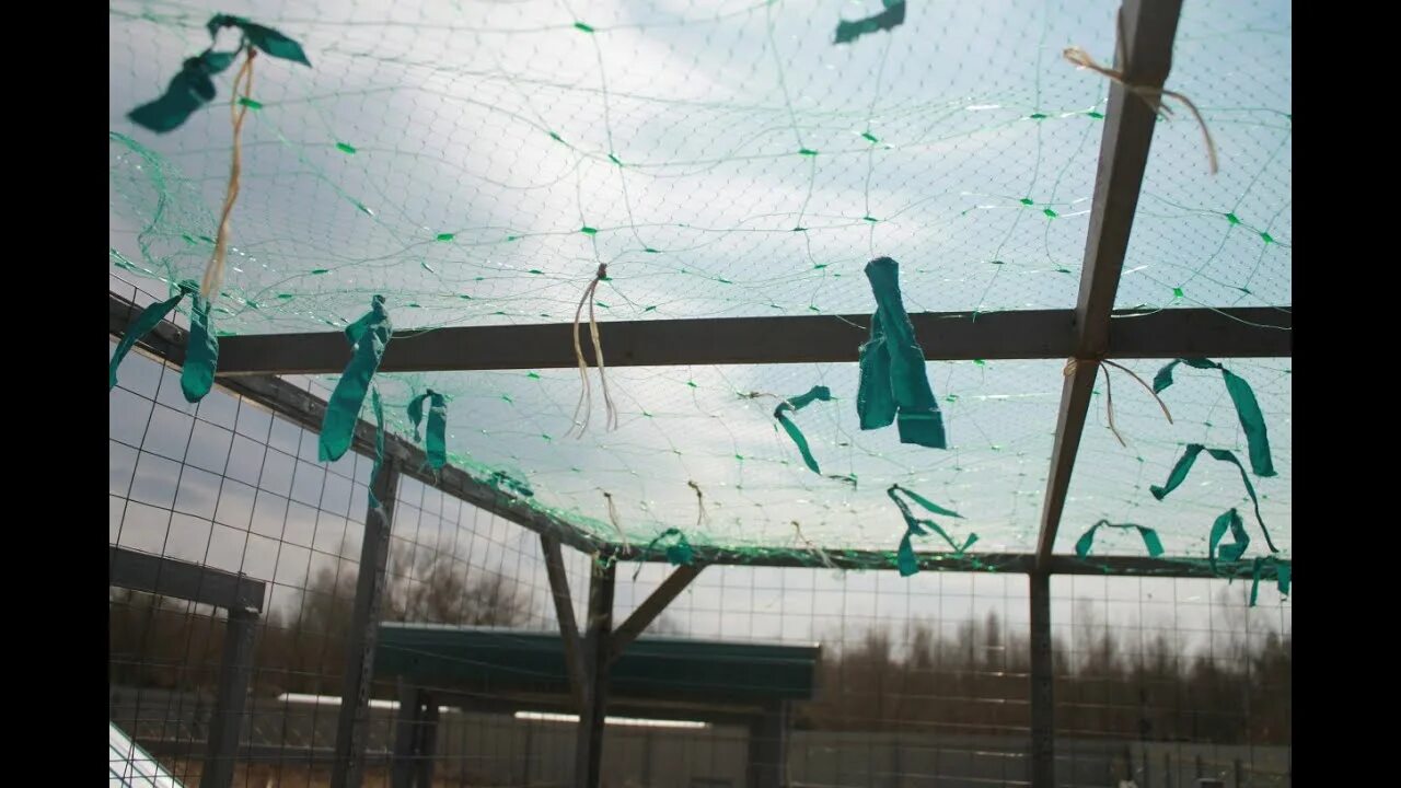 Сетка от птиц для деревьев. Сеть садовая защита от птиц. Сетчатый загон для кур. Ловушка для хищных птиц. Сетка защитная от хищных птиц.