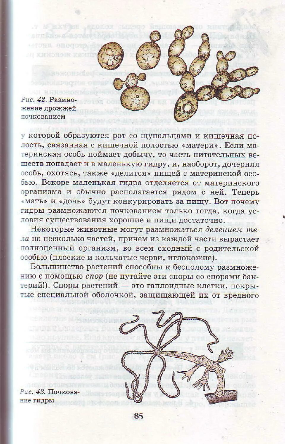 Параграф 9 6 класс читать. Биология 5 класс параграф 9 Пасечник. Учебник биологии 9 класс Пасечник Каменский учебник. Учебник по биологии за 9 класс Пасечник. Биология 9 класс Пасечник Колесов.