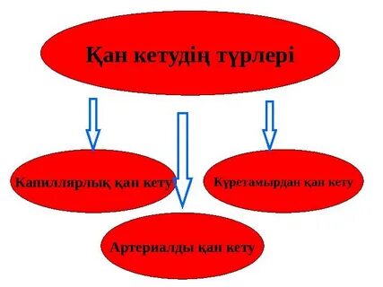 Житомир порно қыздар онлайн