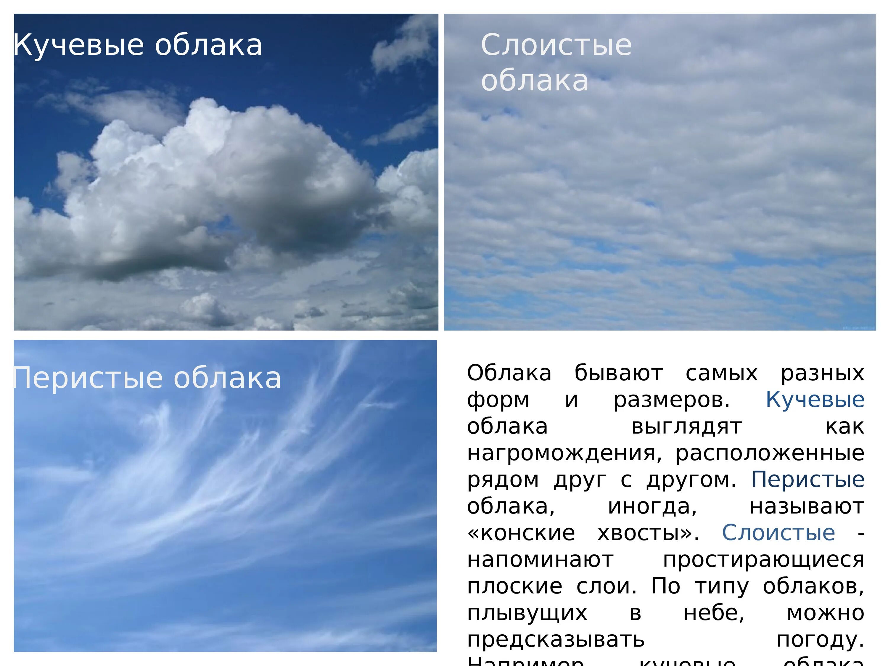 Наблюдения за облачностью. Облака Кучевые перистые Слоистые. Перистые,Слоистые, кучево дождевые, Кучевые облака. Как выглядят перисто Слоистые облака. Перистые Слоистые кучерявые облака.